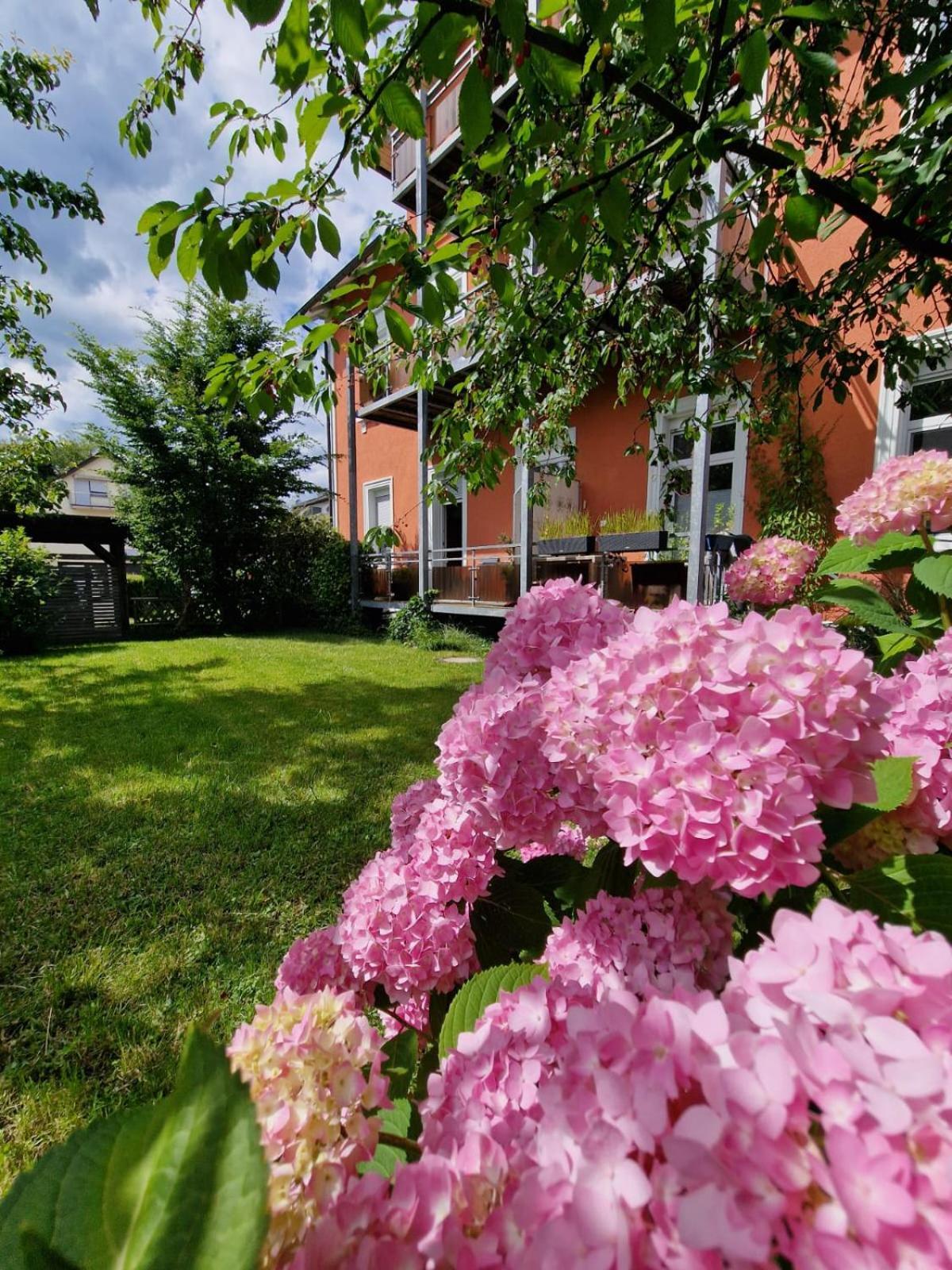 Appartement 24 Lindau  Exterior photo